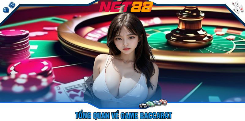 Casino Net88 - Hướng Dẫn Chơi Baccarat Tại Casino Net88